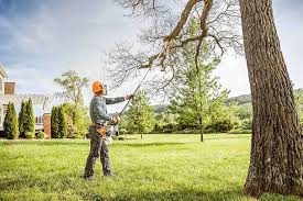 Best Tree Trimming and Pruning  in , ME