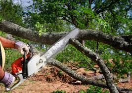  , ME Tree Care Pros